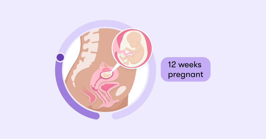 Pain in left side 13 2025 weeks pregnant